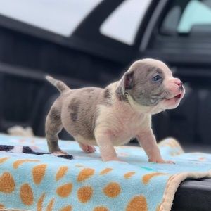 Meet your Posher, Miguel